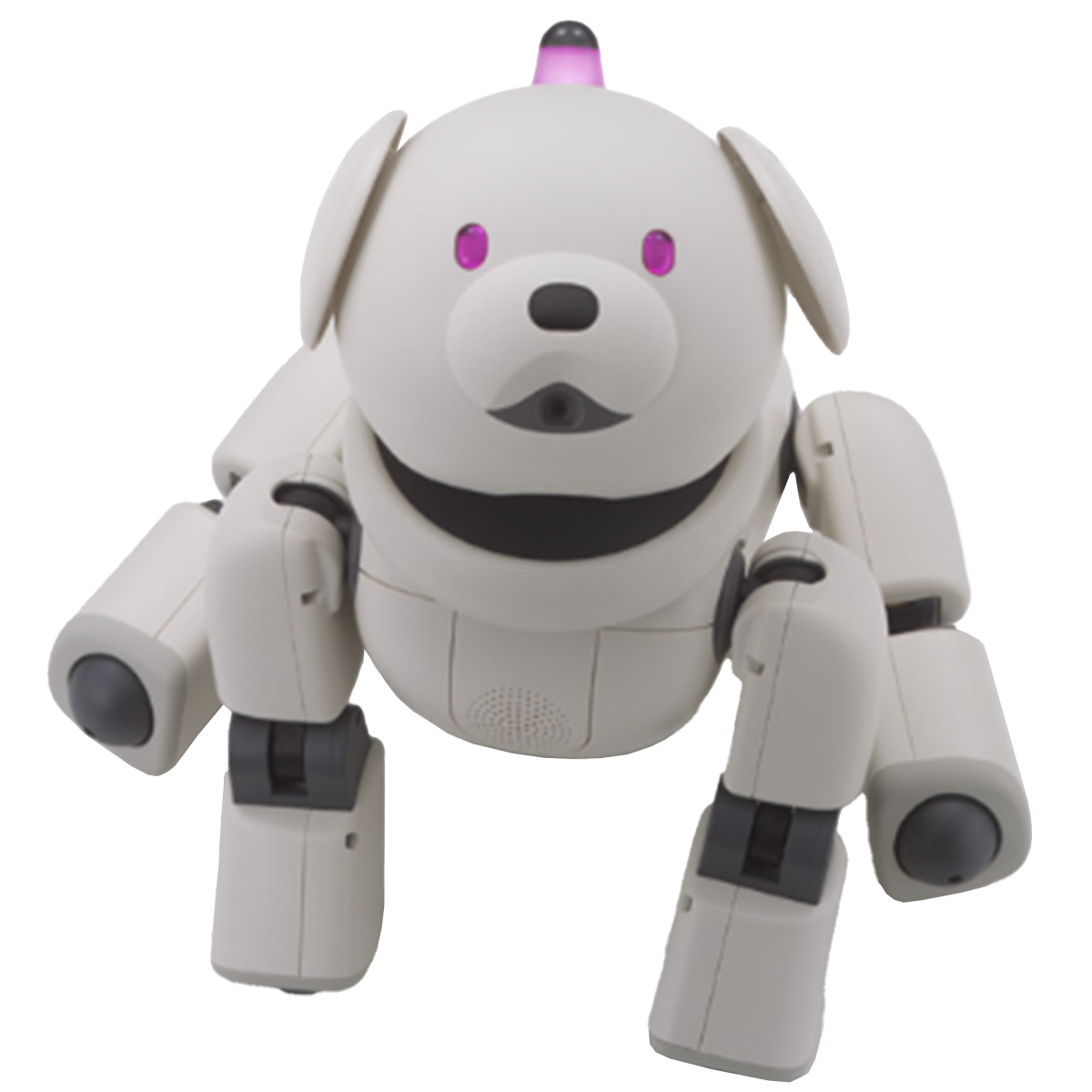 ERS-31X Aibo Information | Virtual Paws