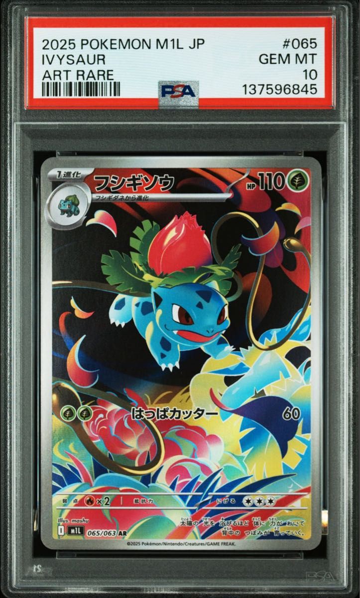 三連番 メガフシギバナex SAR フシギダネ AR フシギソウar PSA10 メガ