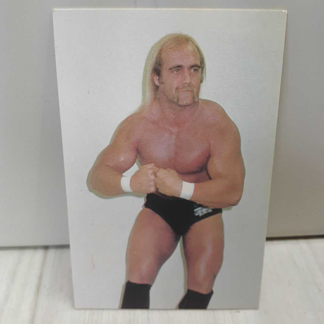 1982ハルク・ホーガン ポピー スーパープロレスラー当時物Hulk Hogan