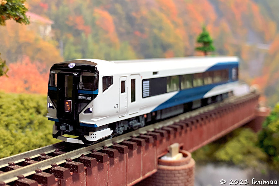 E257系2000番台 踊り子 その1 入線報告 - ナマケモノ写真館