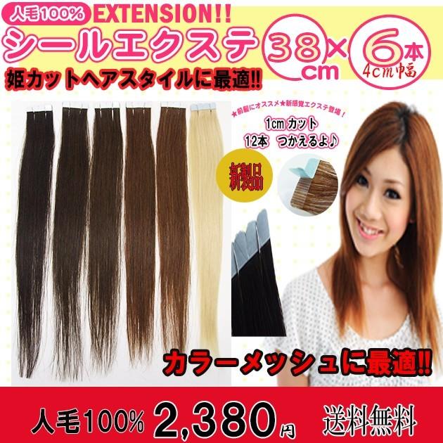 シールエクステ 人毛100% 38cm 6本セット（1本約2.4g） sl-039