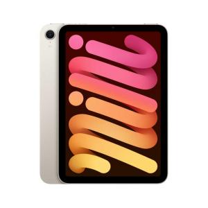 第7世代 Apple iPad mini スペースグレー 本体 Wi-Fi Apple iPad mini