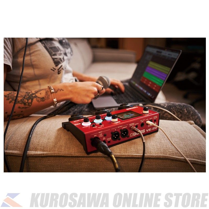 VE-22 -Vocal Performer- | 【クロサワ楽器店オンラインショップ】いい