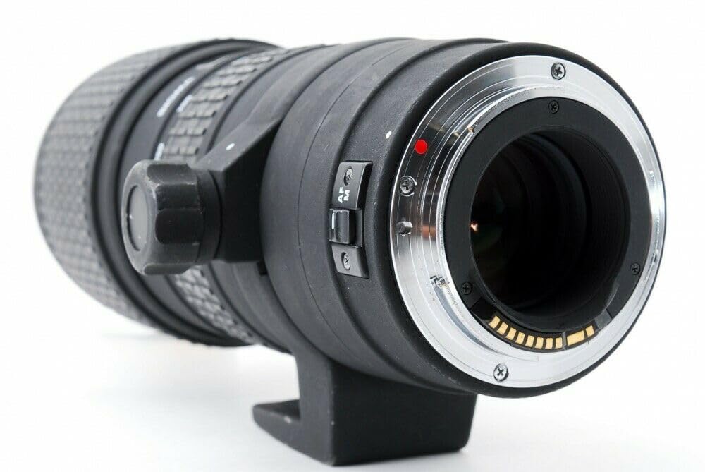 Amazon.co.jp: シグマ 100-300mm F4 APO EX DG HSM キヤノン用 : 家電