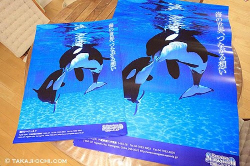 鴨川シーワールドのポスター完成。シャチの水槽に入ったときの事