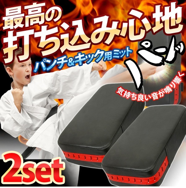 パンチ キック ミット 2個セット ミット打ち トレーニング ボクシング