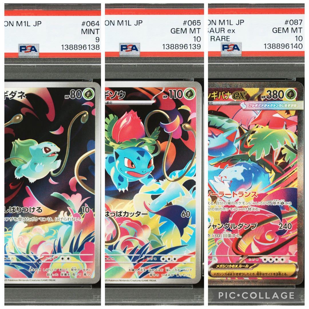【PSA3連番】フシギダネAR•フシギソウAR•メガフシギバナex sar PSA10連番】フシギダネAR フシギソウAR メガフシギバナex SAR - メルカリ